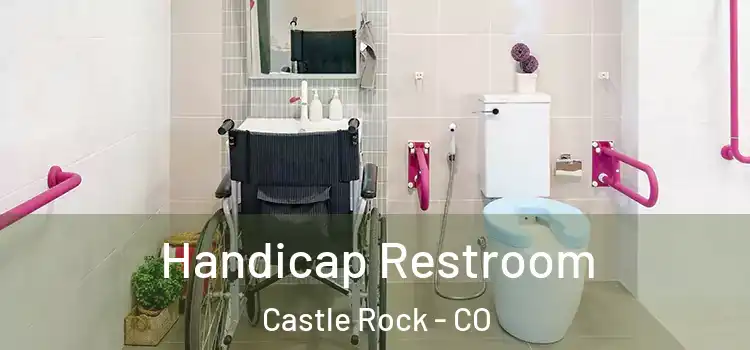 Handicap Restroom Castle Rock - CO